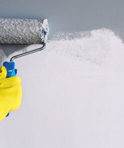 Peinture Mur & Plafond - V33