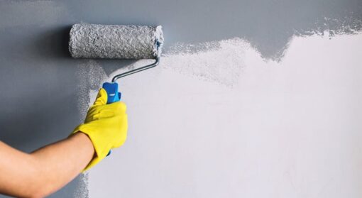 Peinture Mur & Plafond - V33