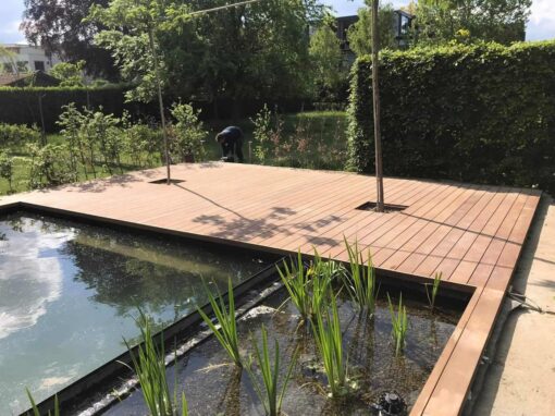 Bamboo – Image 7